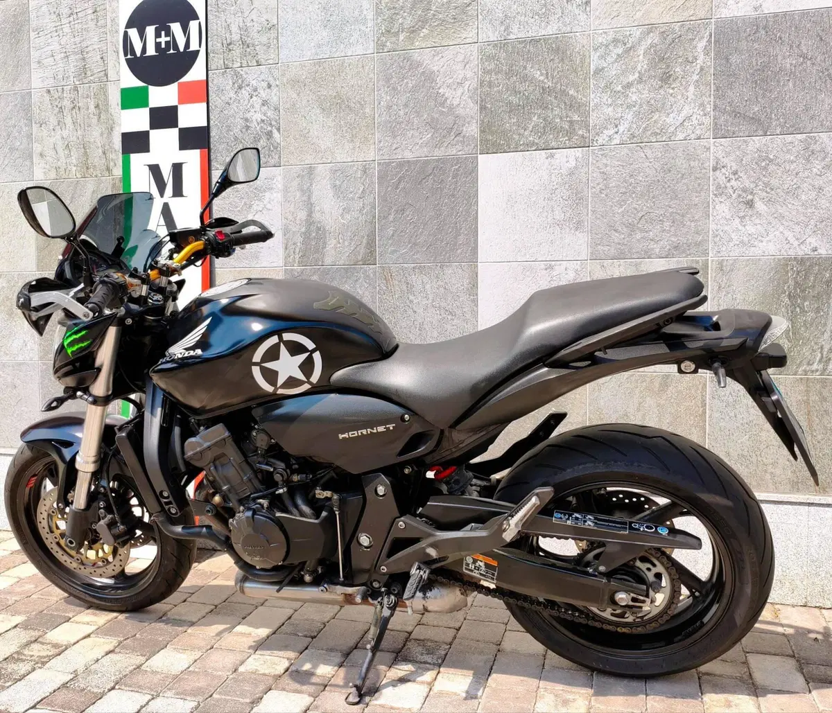 Honda Hornet 600 (2007 - 10) (7)