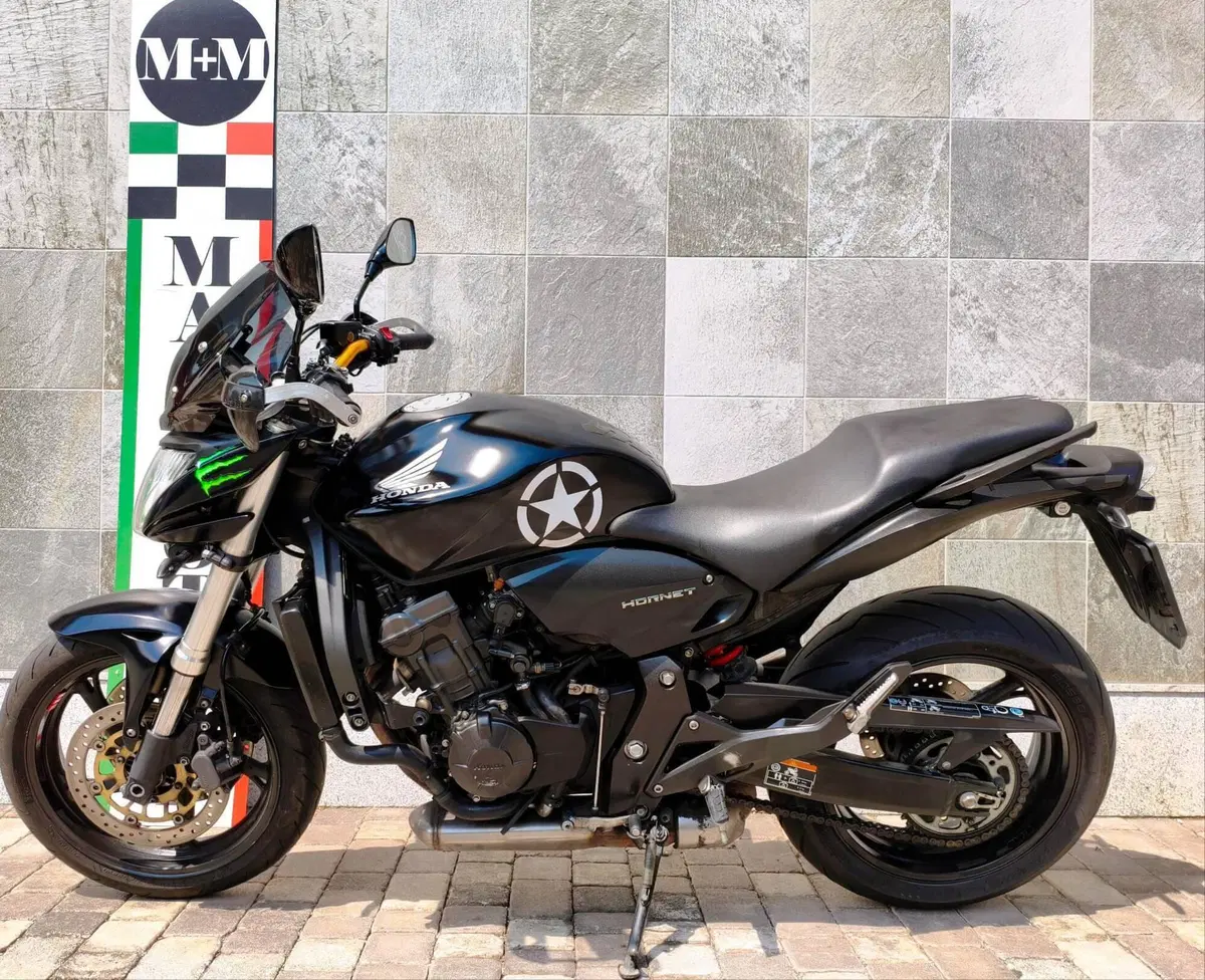 Honda Hornet 600 (2007 - 10) (2)