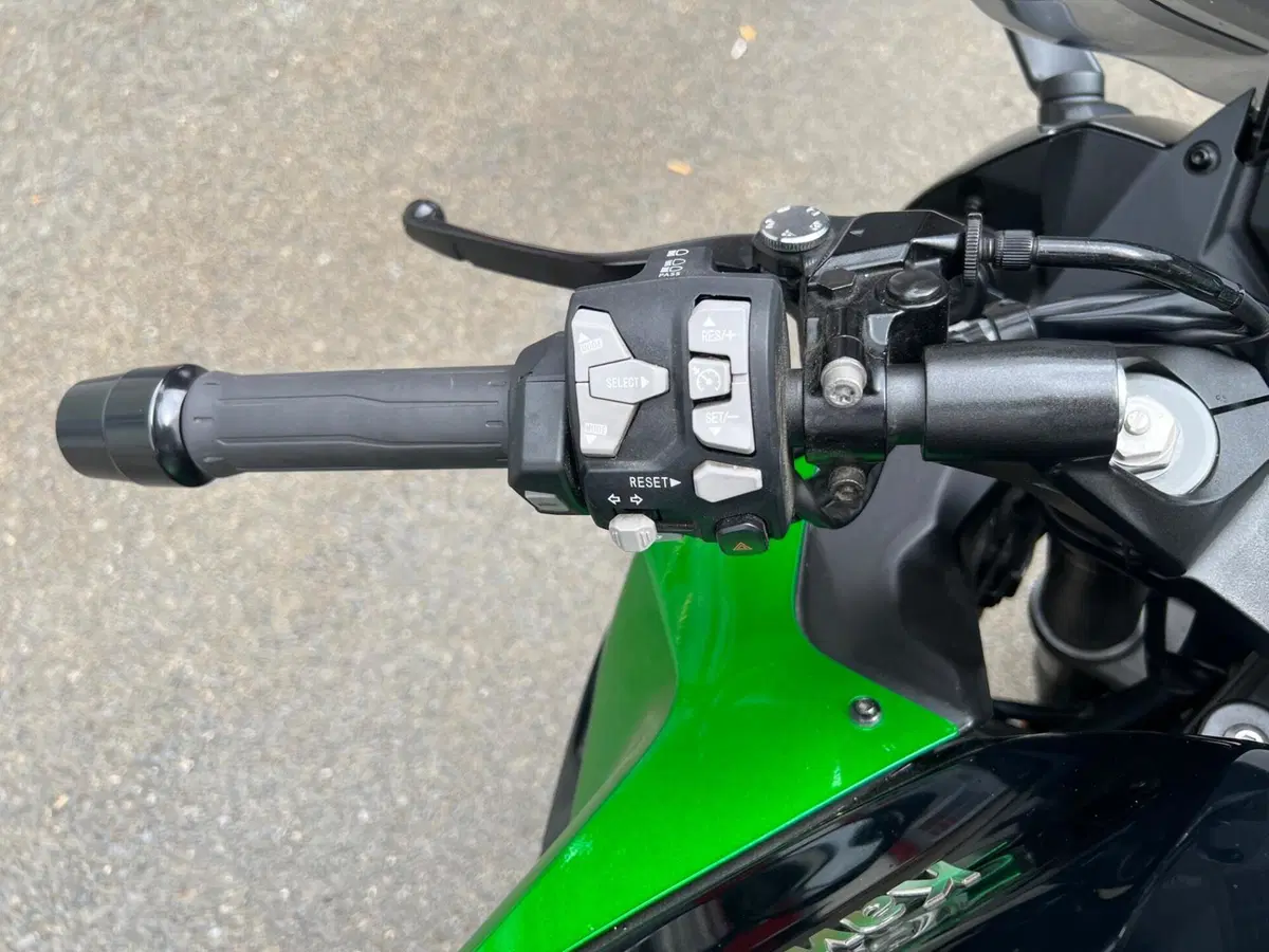 Kawasaki Ninja 1000 SX (2021 - 24) (13)