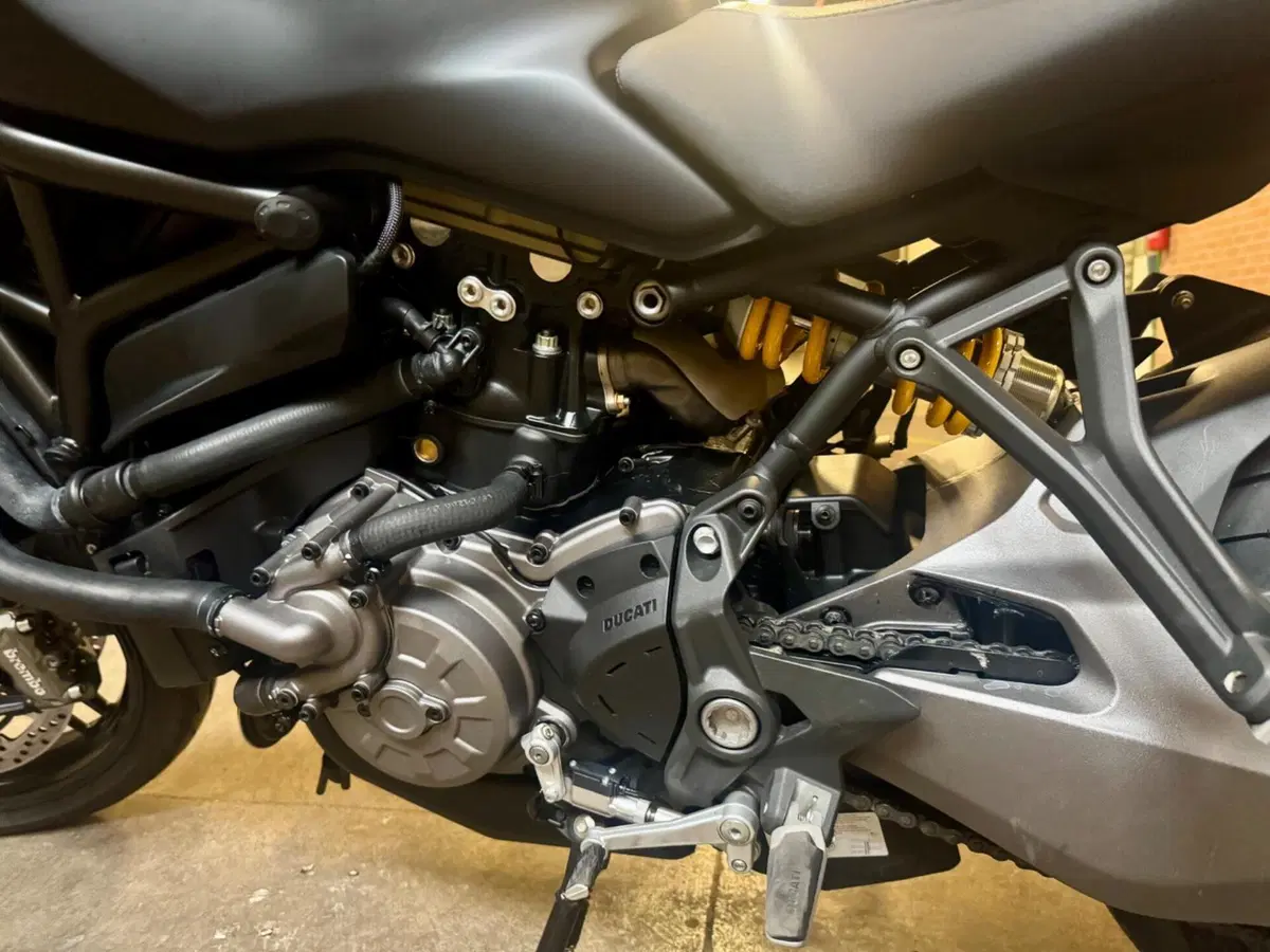 Ducati Monster 821 (2018 - 20) (7)