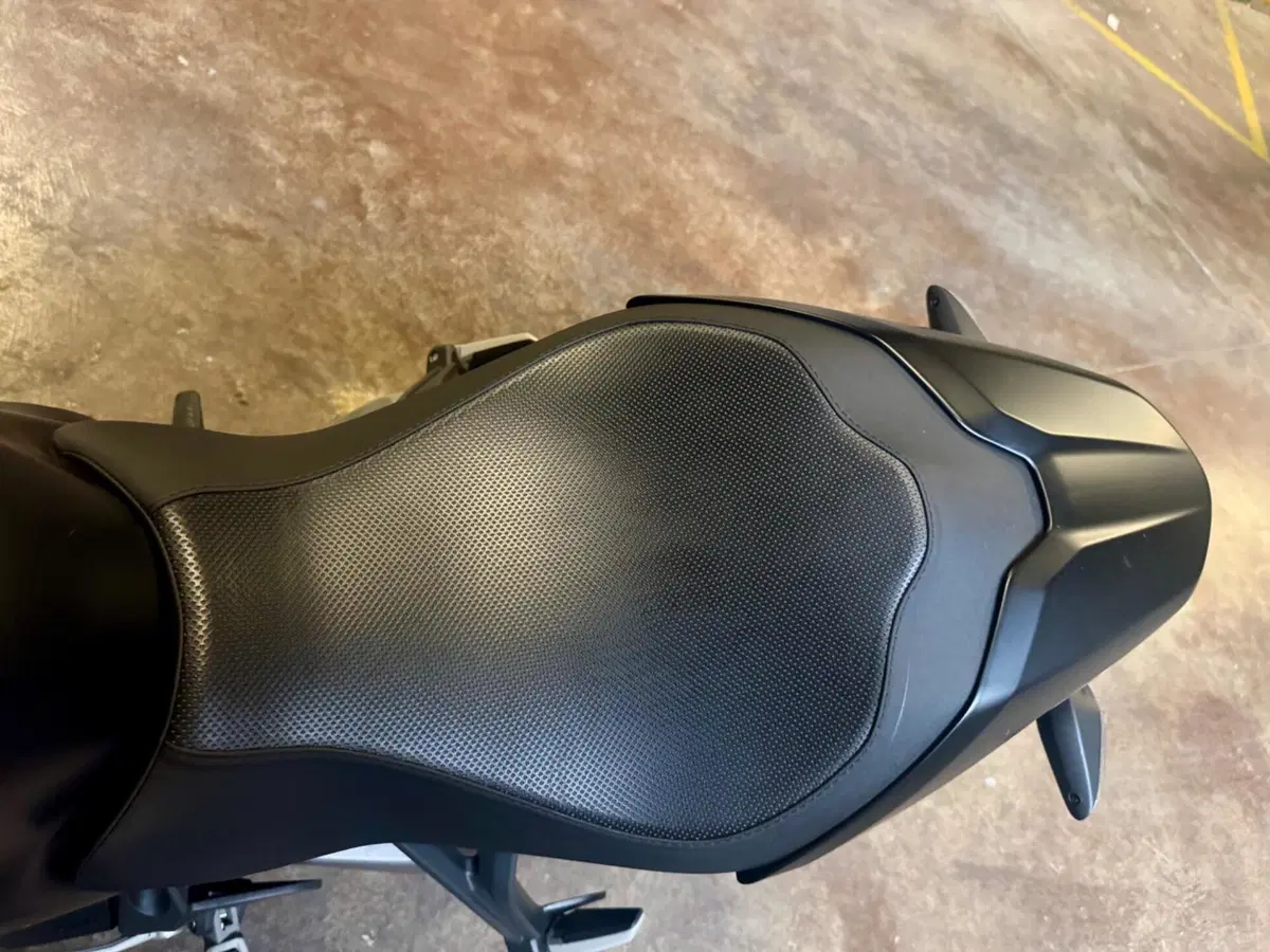 Ducati Monster 821 (2018 - 20) (8)