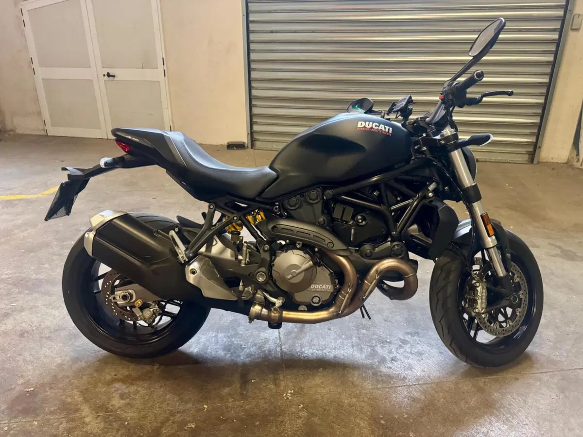 Ducati Monster 821 (2018 - 20) (10)