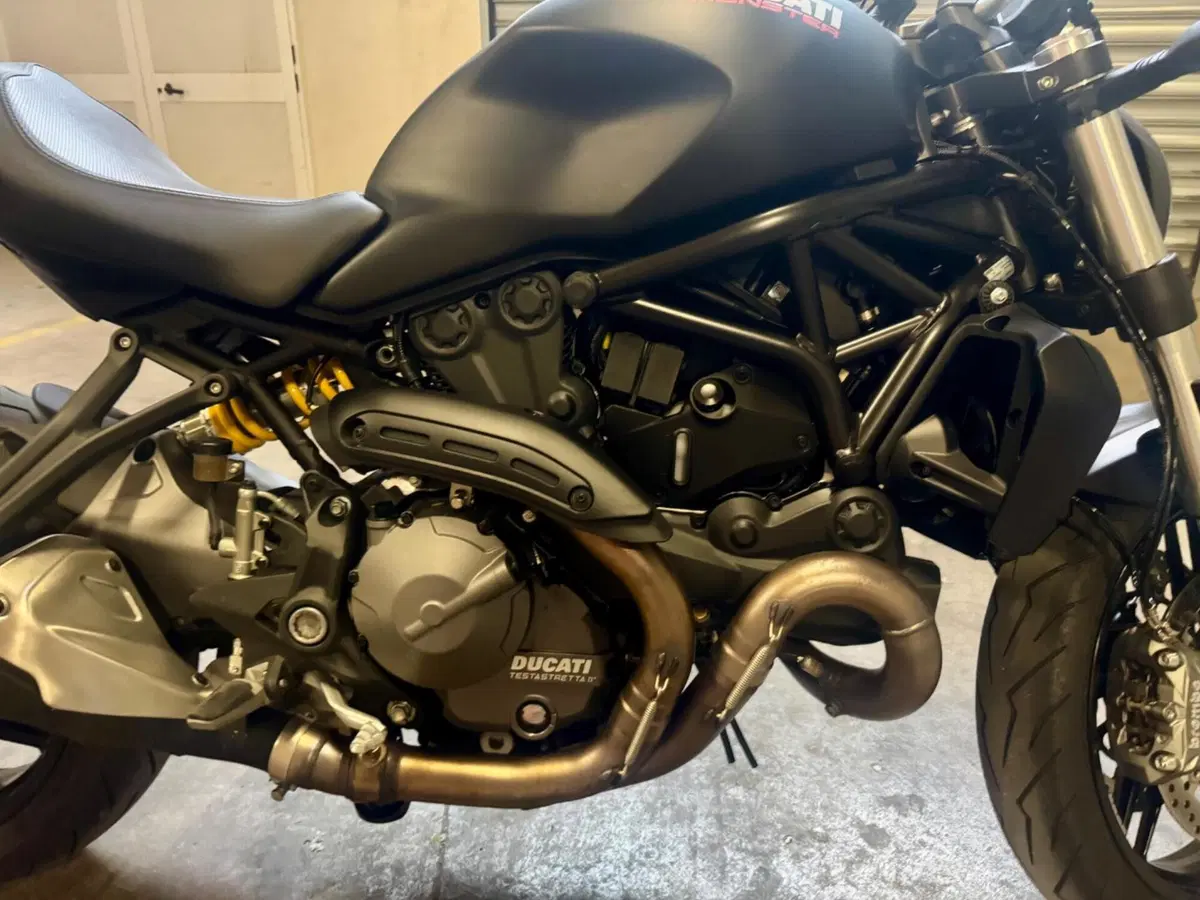 Ducati Monster 821 (2018 - 20) (11)