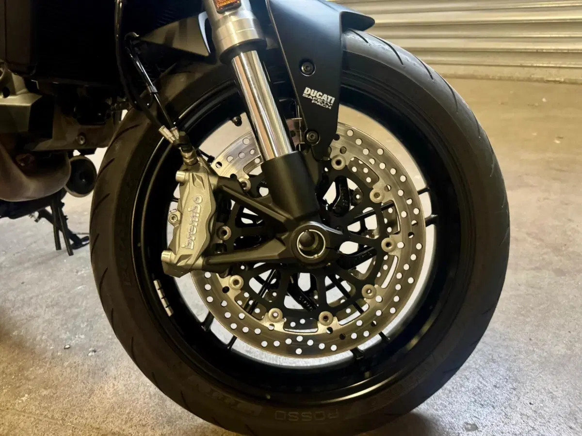 Ducati Monster 821 (2018 - 20) (12)