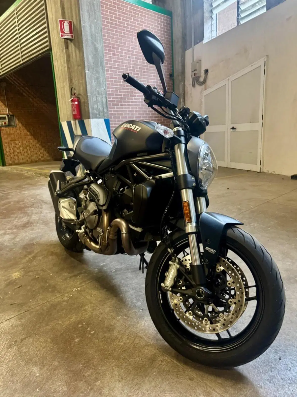 Ducati Monster 821 (2018 - 20) (13)