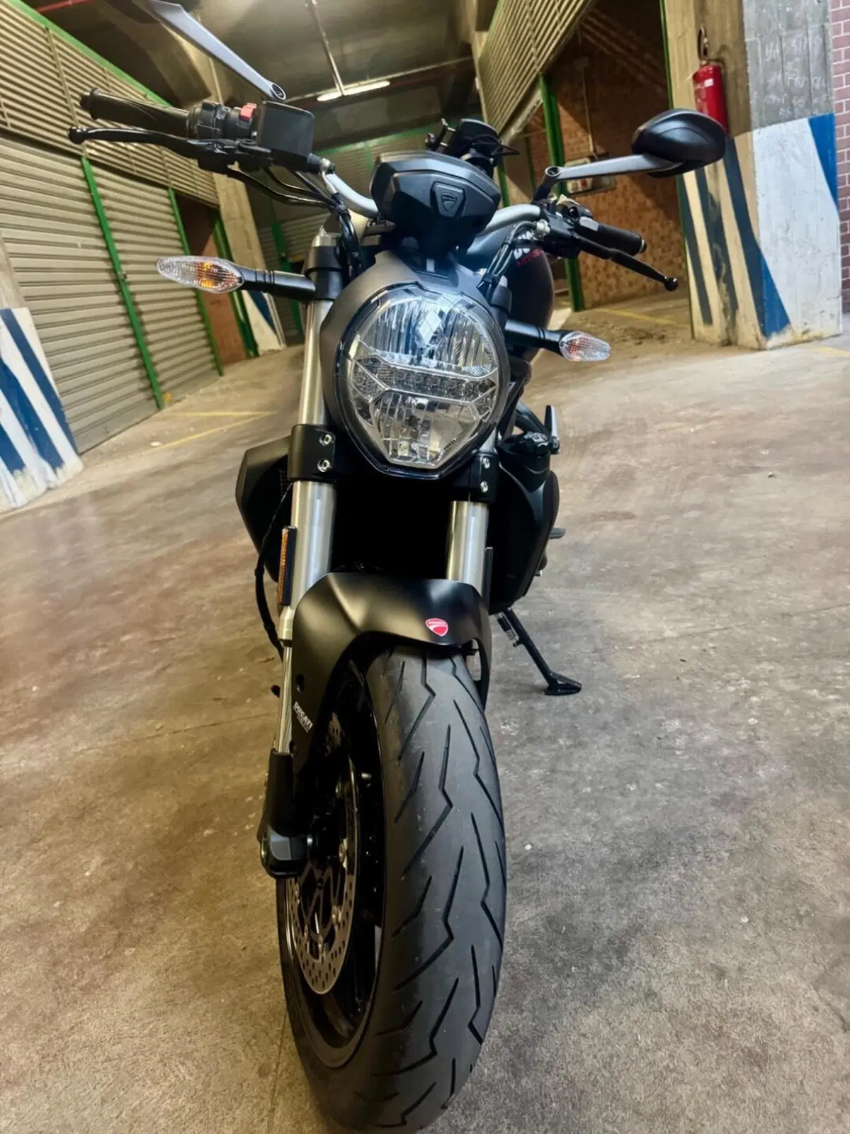 Ducati Monster 821 (2018 - 20) (14)