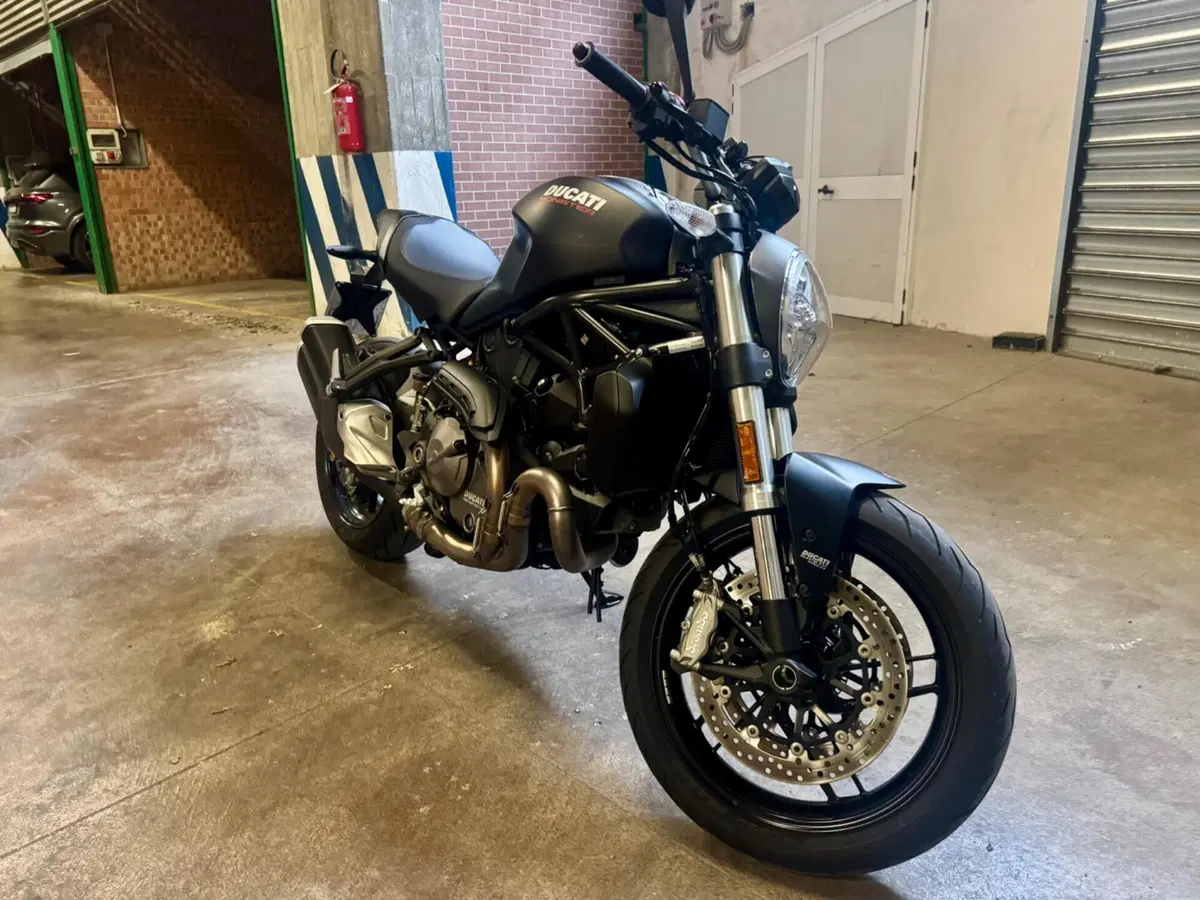 Ducati Monster 821 (2018 - 20) (16)