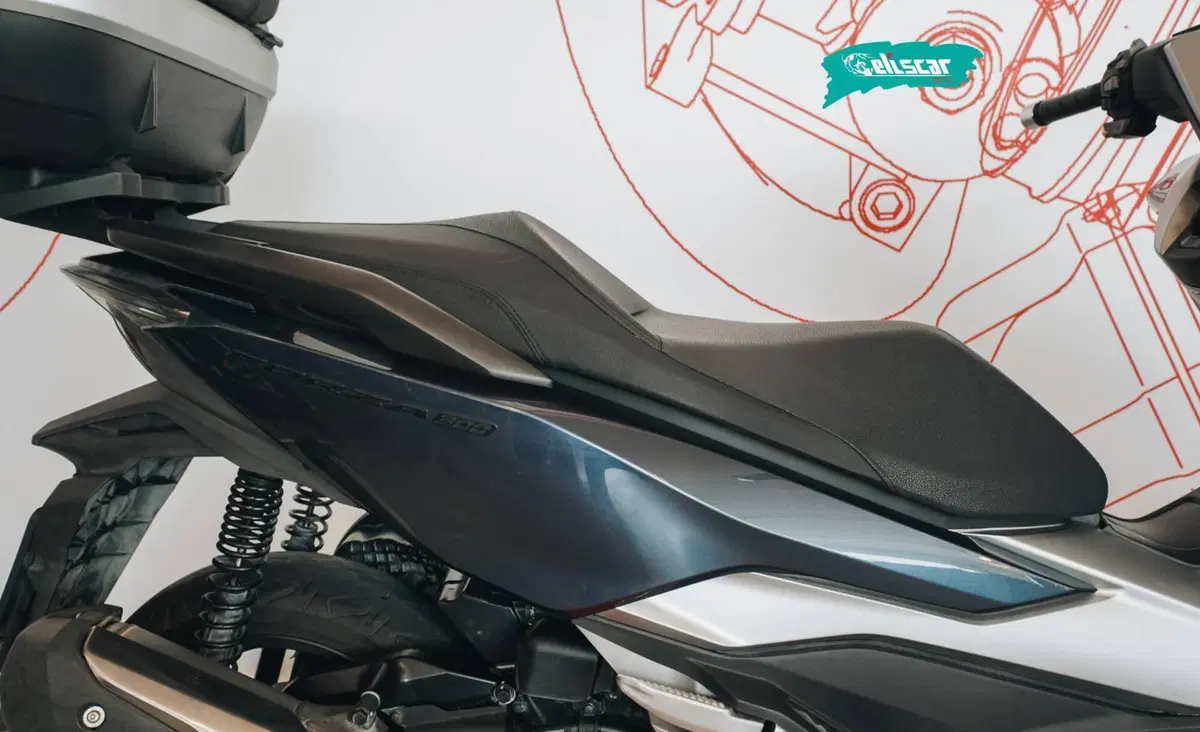Honda Forza 300 (2019 - 20) (11)