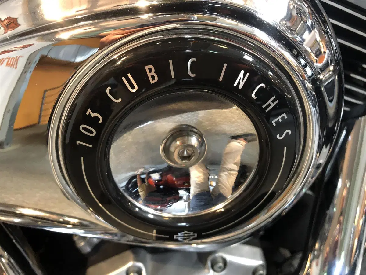 Harley-Davidson 1690 Switchback (2011 - 16) (2)