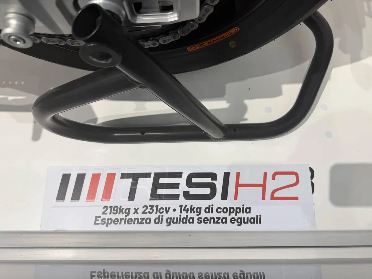 Bimota Tesi H2 (2020 - 26) (6)