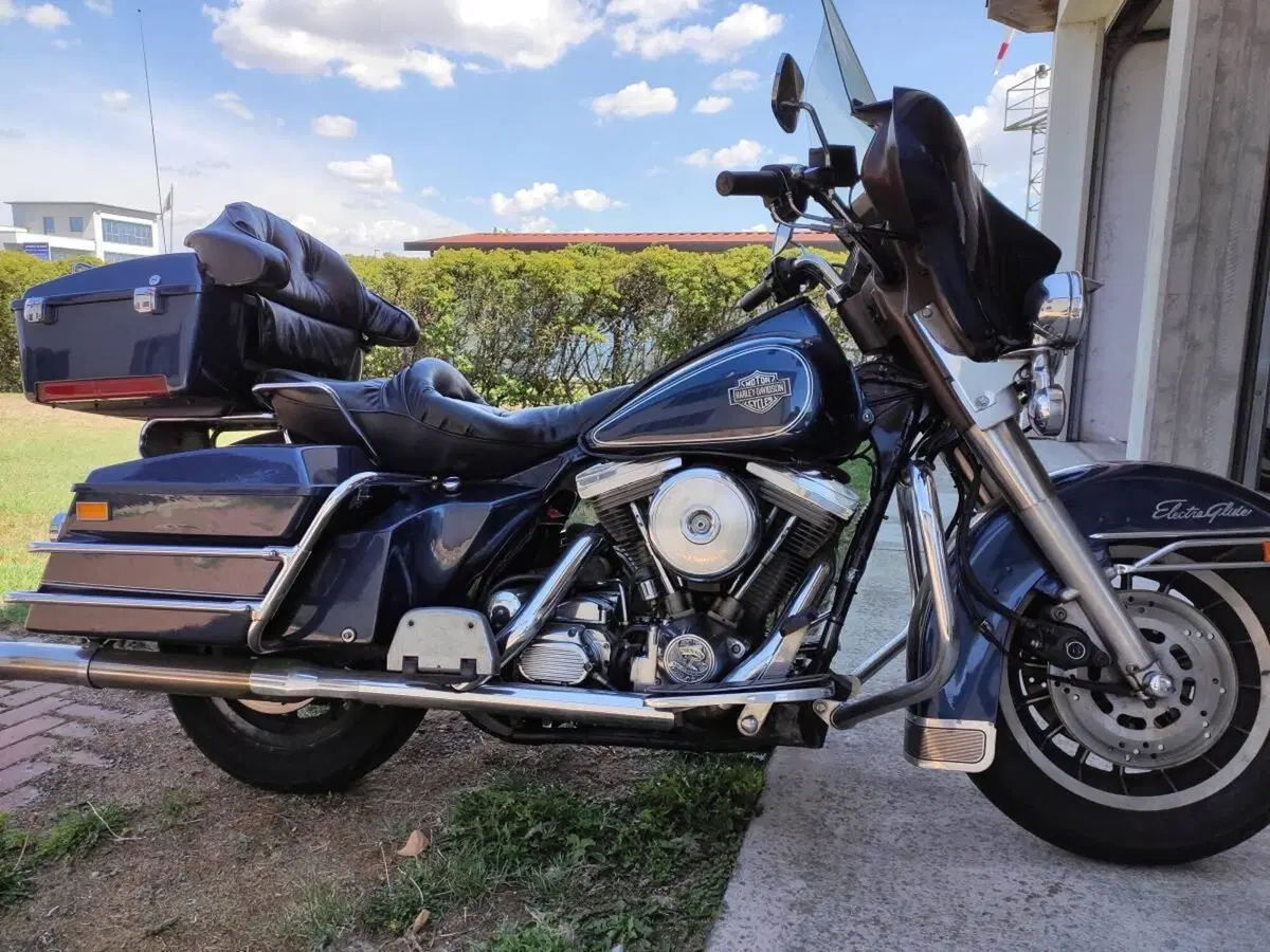 Harley-Davidson Electra Glide (2)