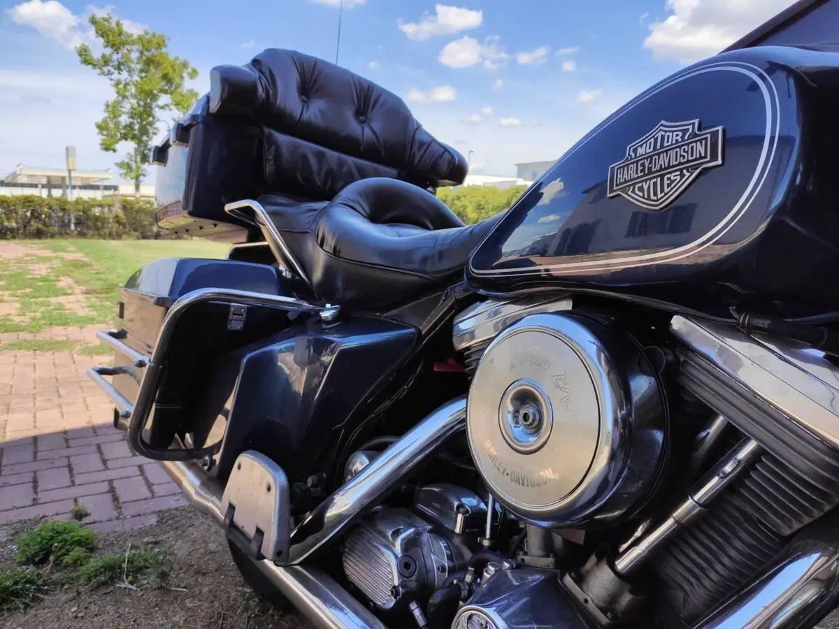 Harley-Davidson Electra Glide (10)