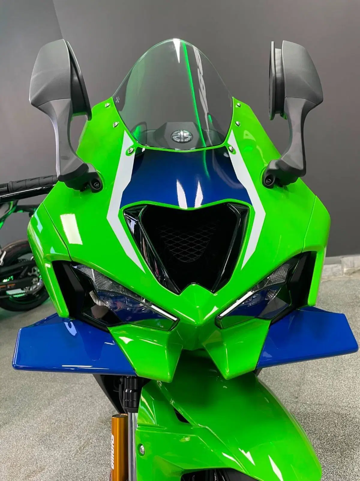 Kawasaki Ninja 1000 ZX-10R (2026)