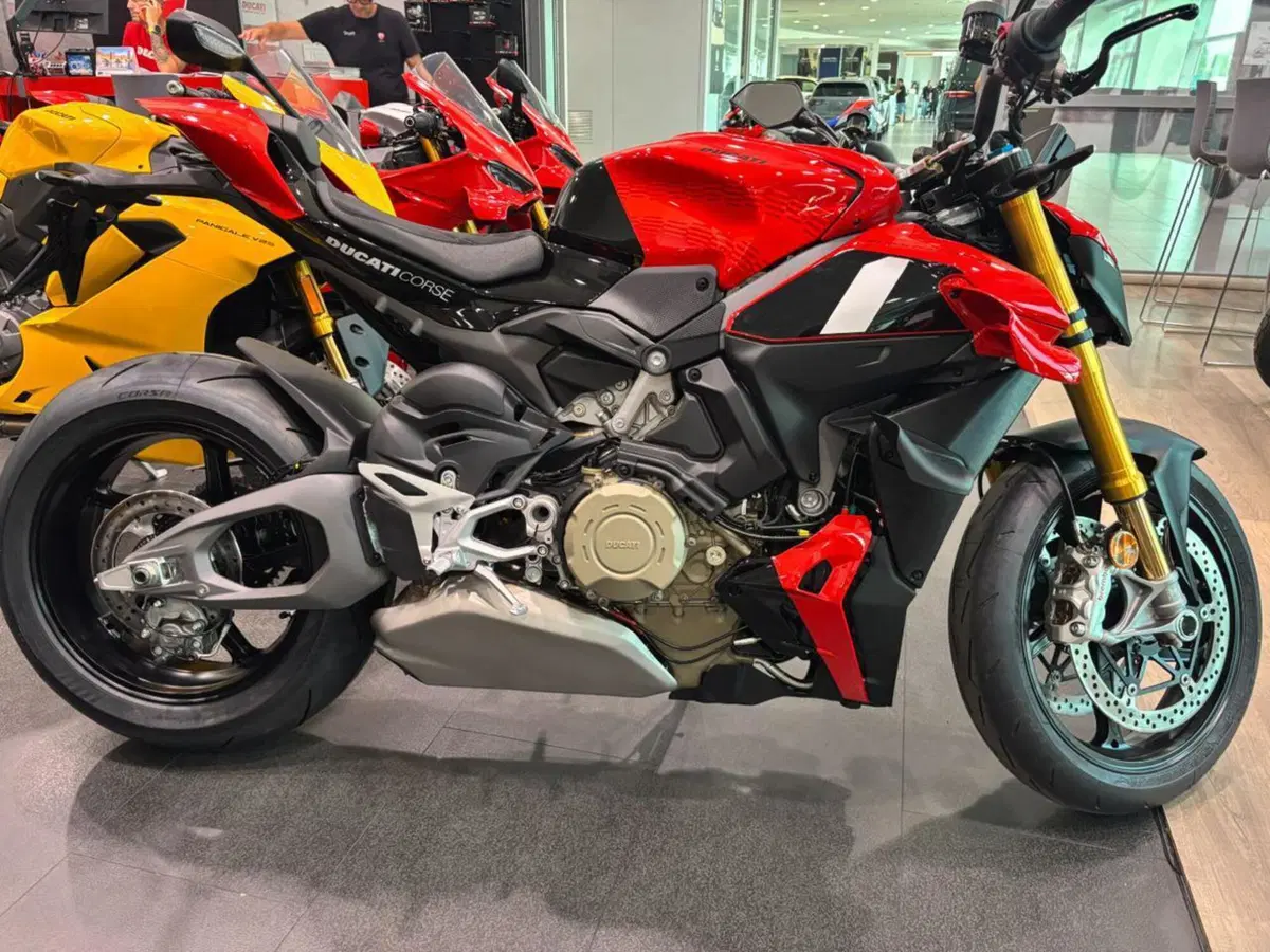 Ducati Streetfighter V4 S (2025 - 26) (5)