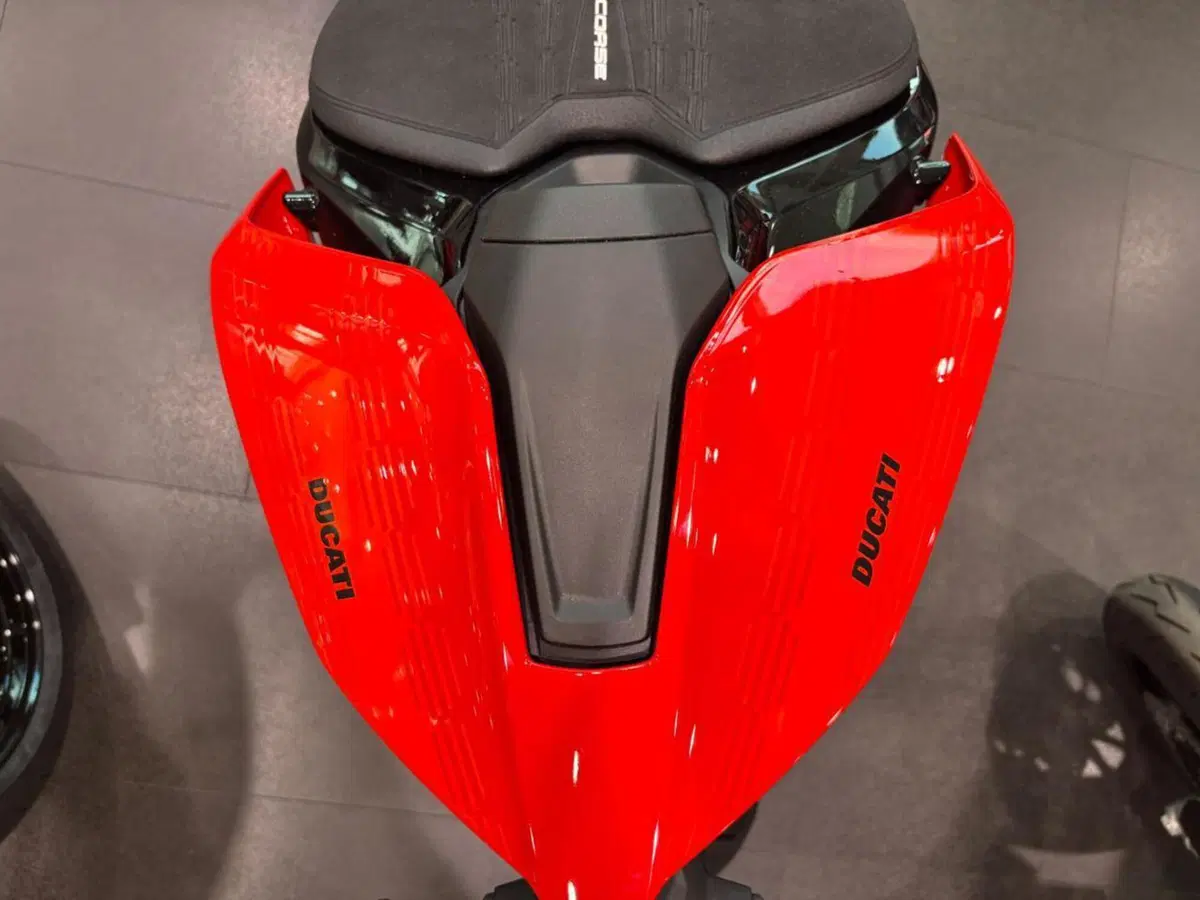Ducati Streetfighter V4 S (2025 - 26) (9)