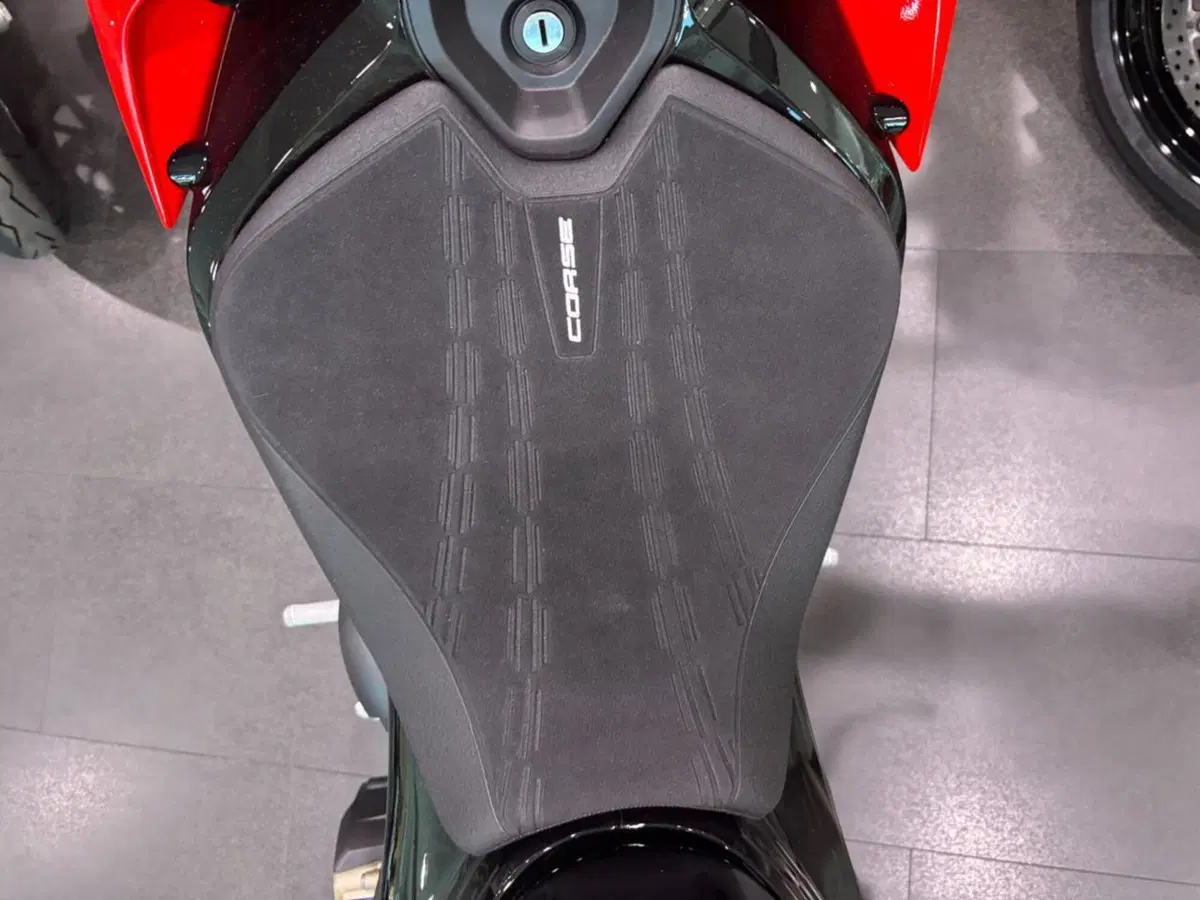 Ducati Streetfighter V4 S (2025 - 26) (8)