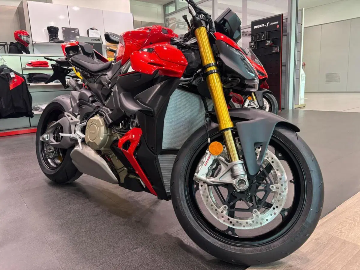 Ducati Streetfighter V4 S (2025 - 26) (4)