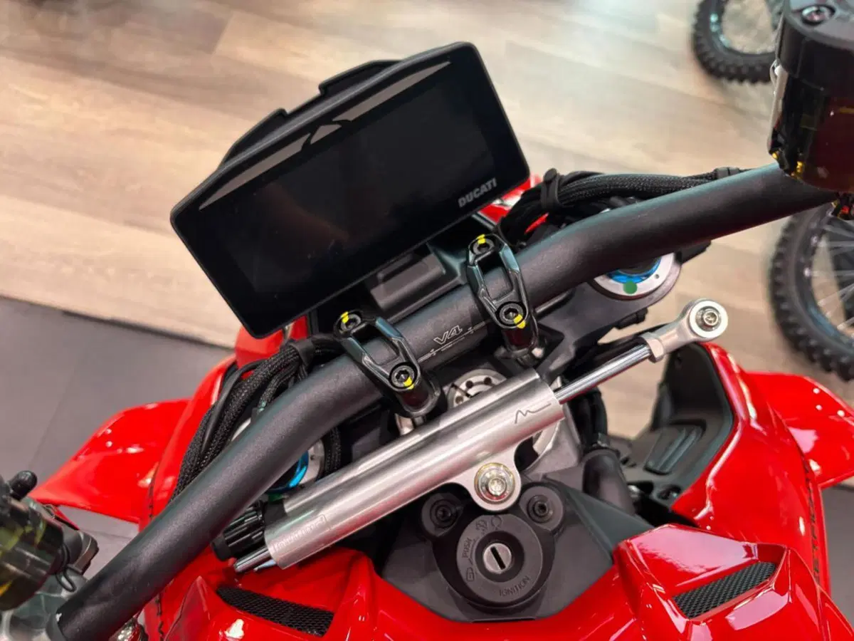 Ducati Streetfighter V4 S (2025 - 26) (12)