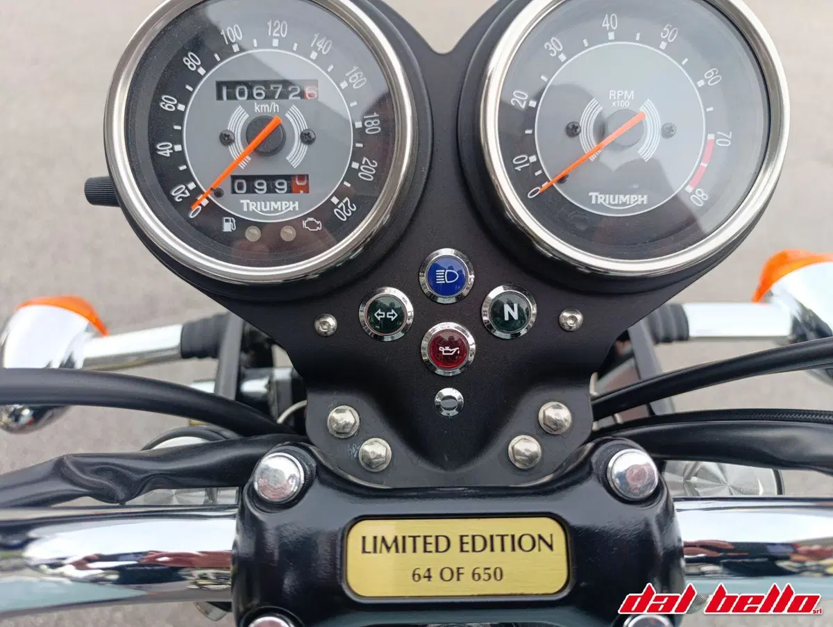 Triumph Bonneville T100 50th Anniversary (2009) (5)