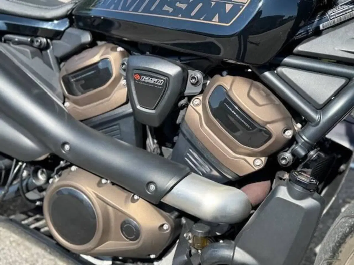 Harley-Davidson Sportster S (2022 - 24) (3)