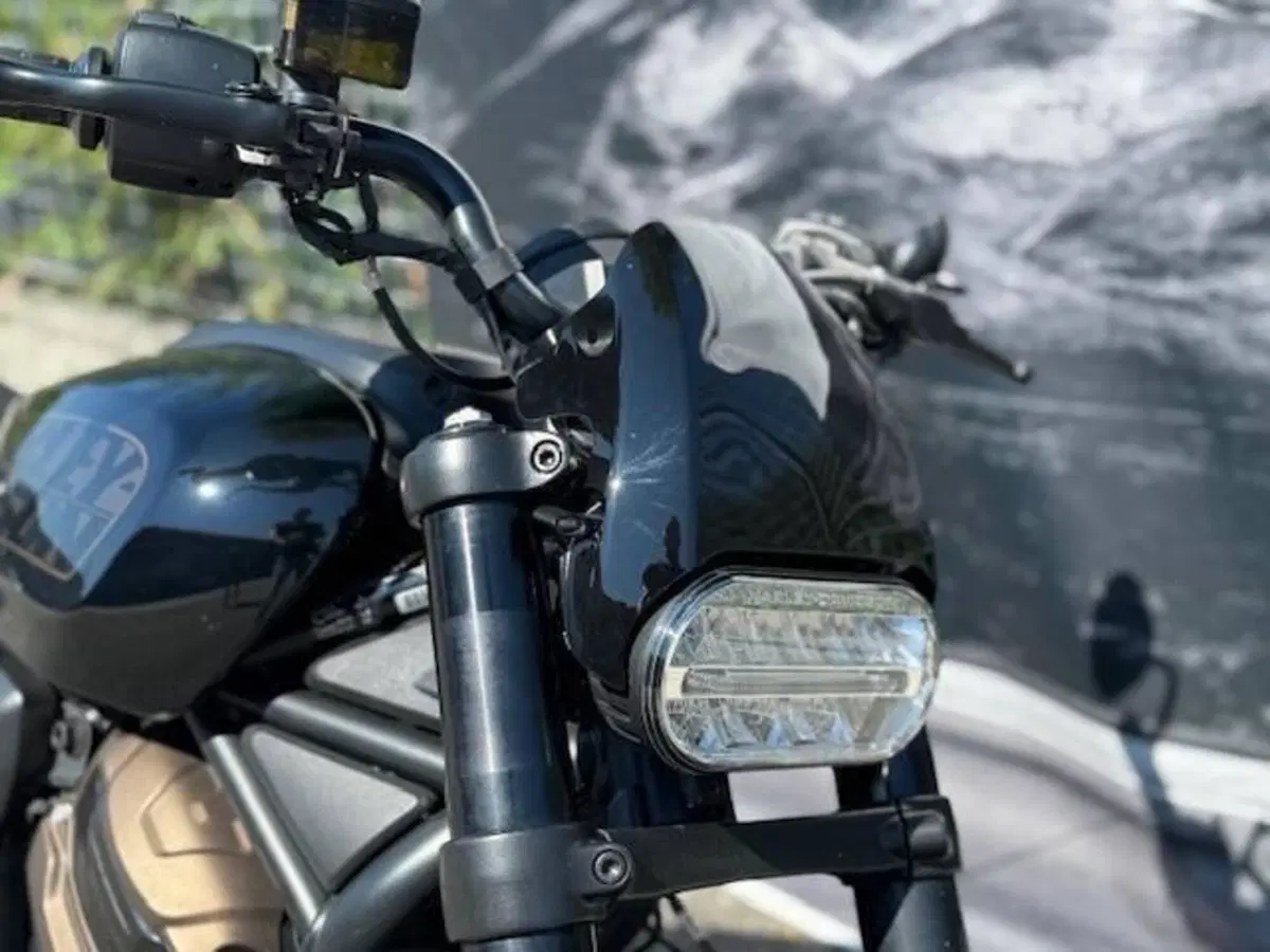 Harley-Davidson Sportster S (2022 - 24) (4)
