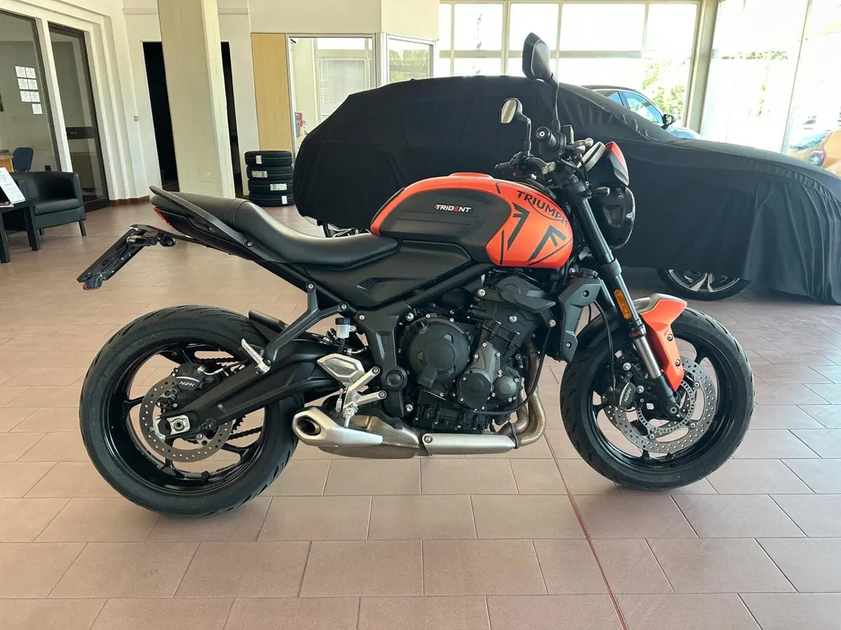 Triumph Trident 660 (2021 - 24)