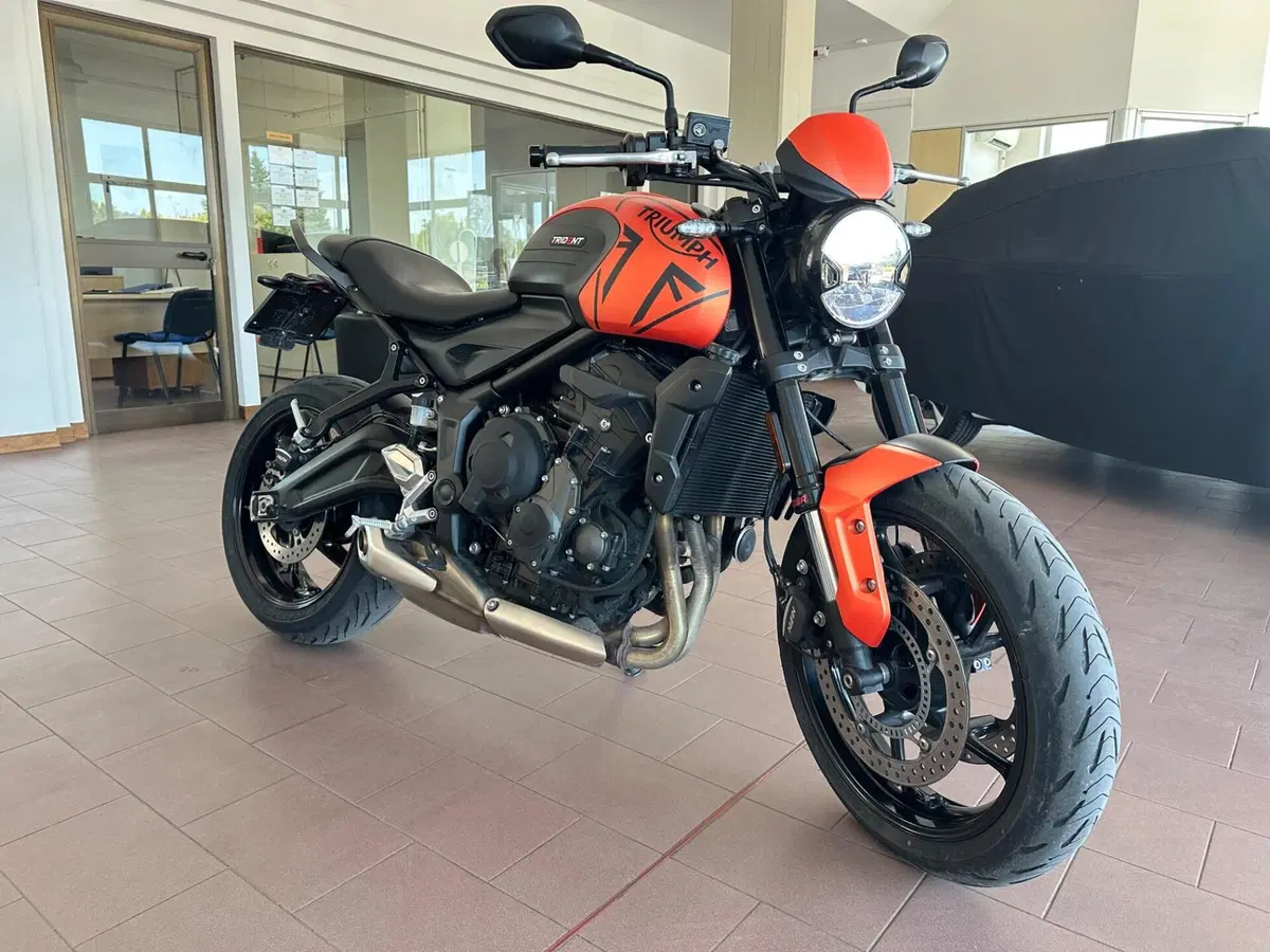 Triumph Trident 660 (2021 - 24) (6)