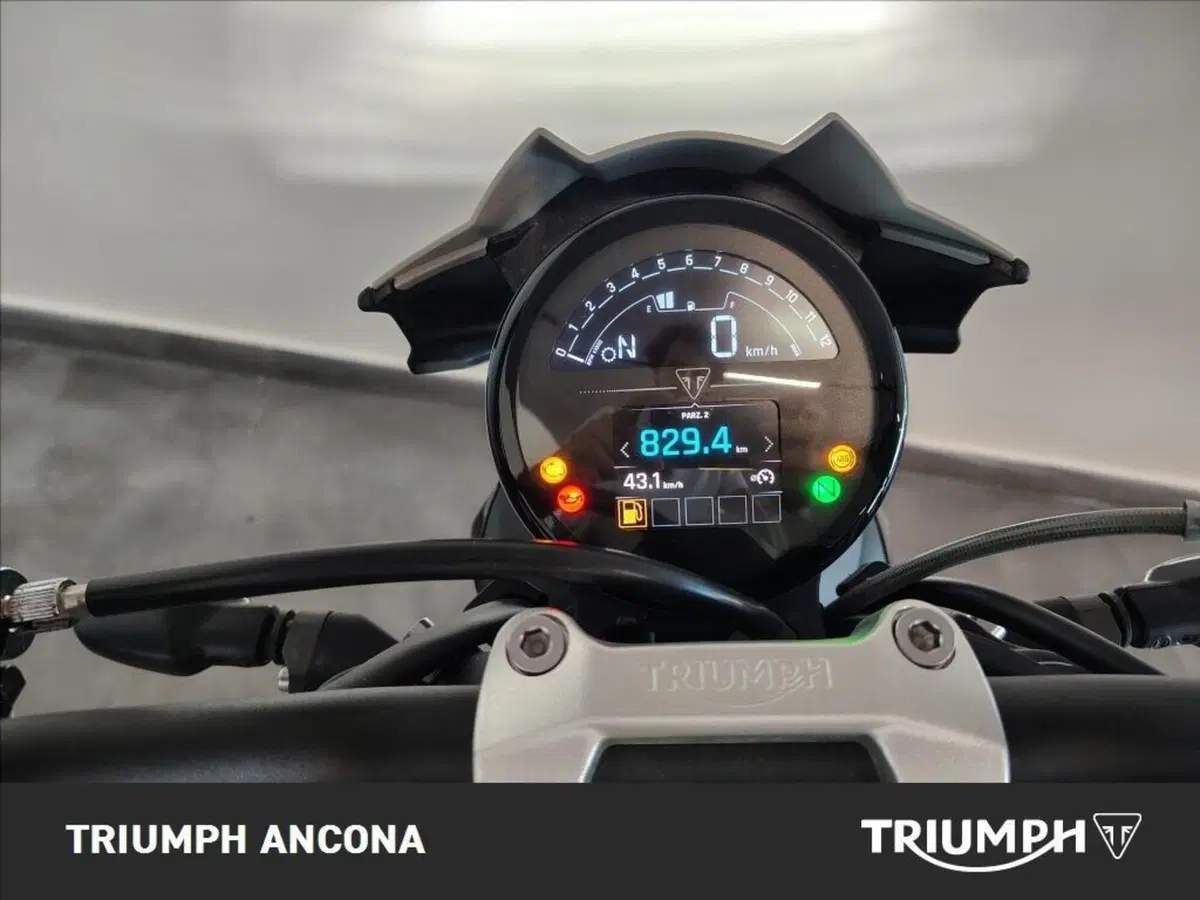 Triumph Trident 800 (2026) (5)