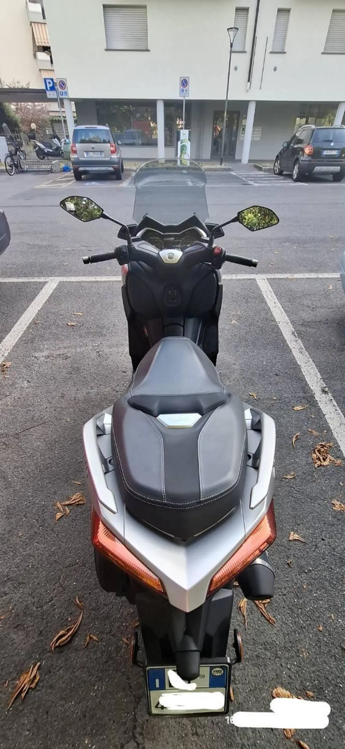 Yamaha X-Max 300 ABS (2017 - 20) (2)