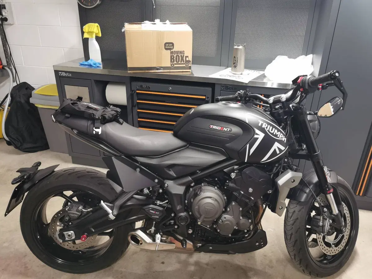 Triumph Trident 660 (2021 - 24) (6)