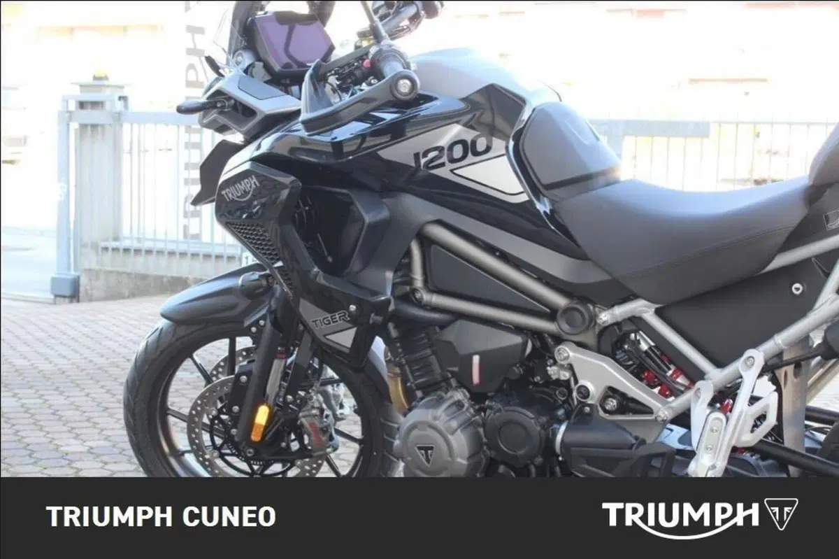 Triumph Tiger 1200 GT Pro (2024 - 26) (7)