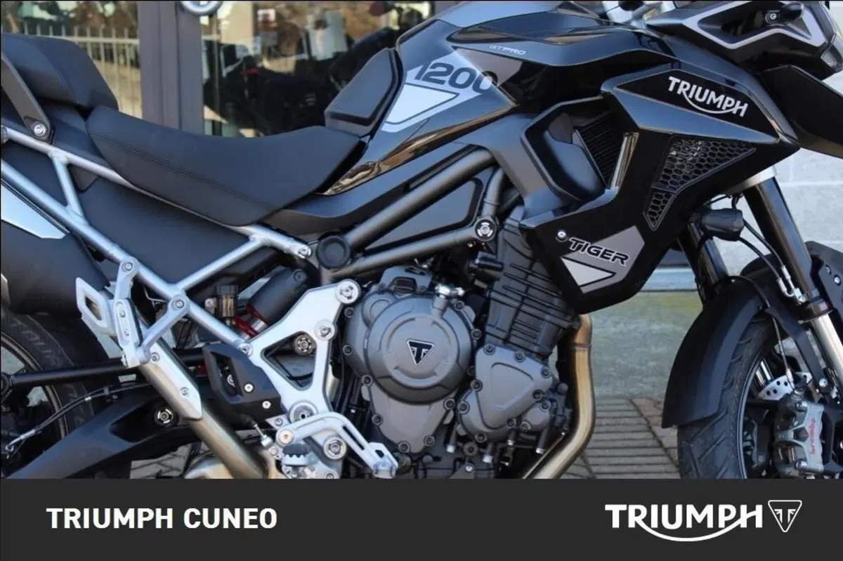 Triumph Tiger 1200 GT Pro (2024 - 26) (4)