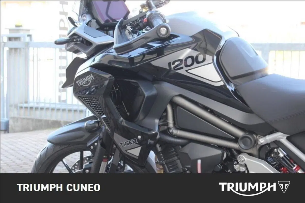 Triumph Tiger 1200 GT Pro (2024 - 26) (6)