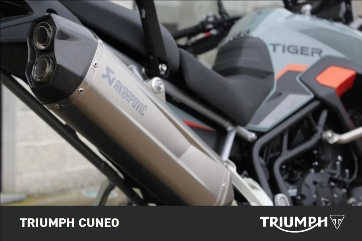 Triumph Tiger 900 Desert Special Edition (2026) (7)