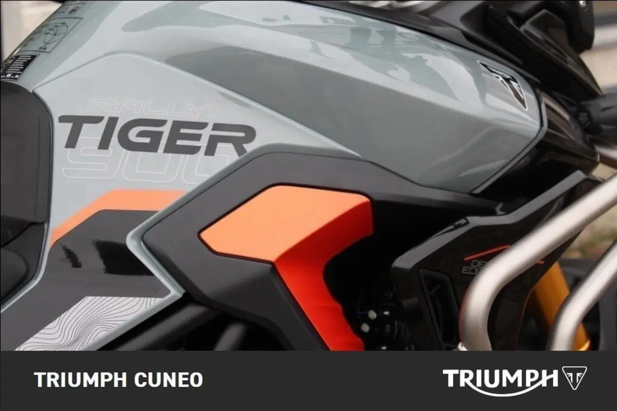 Triumph Tiger 900 Desert Special Edition (2026) (6)
