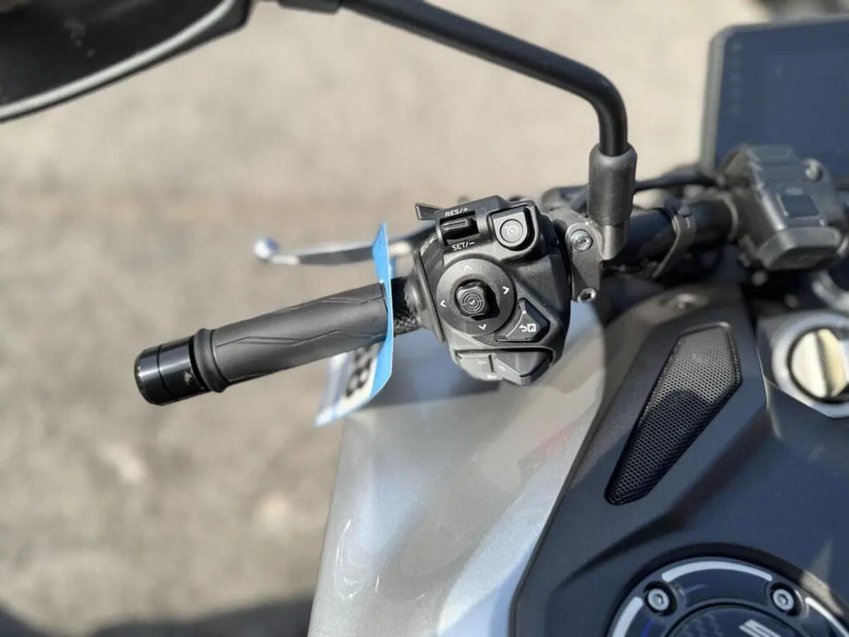 Yamaha MT-09 (2024 - 26) (6)