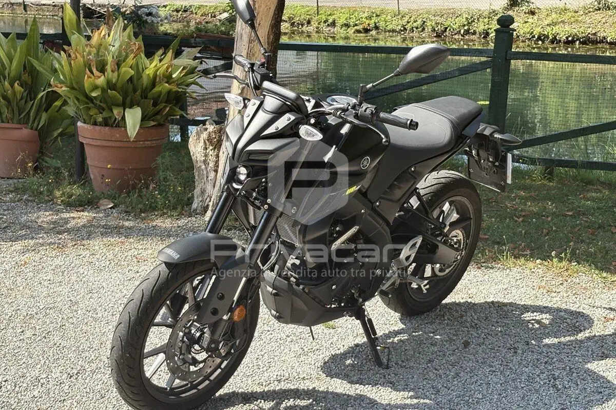 Yamaha MT-125 (2021 - 24)