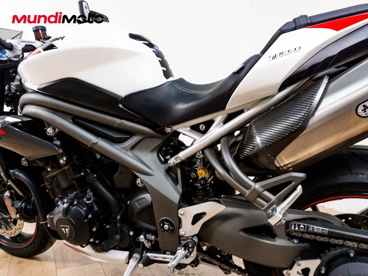 Triumph Speed Triple 1050 RS (2018 - 20) (10)