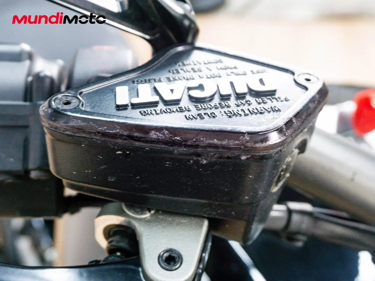 Ducati Diavel 1260 S (2019 - 20) (14)