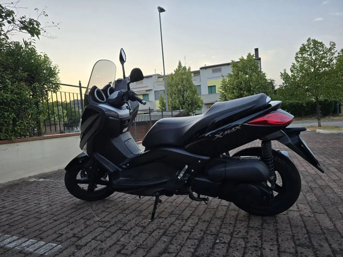 Yamaha X-Max 250 (2010 - 13) (2)