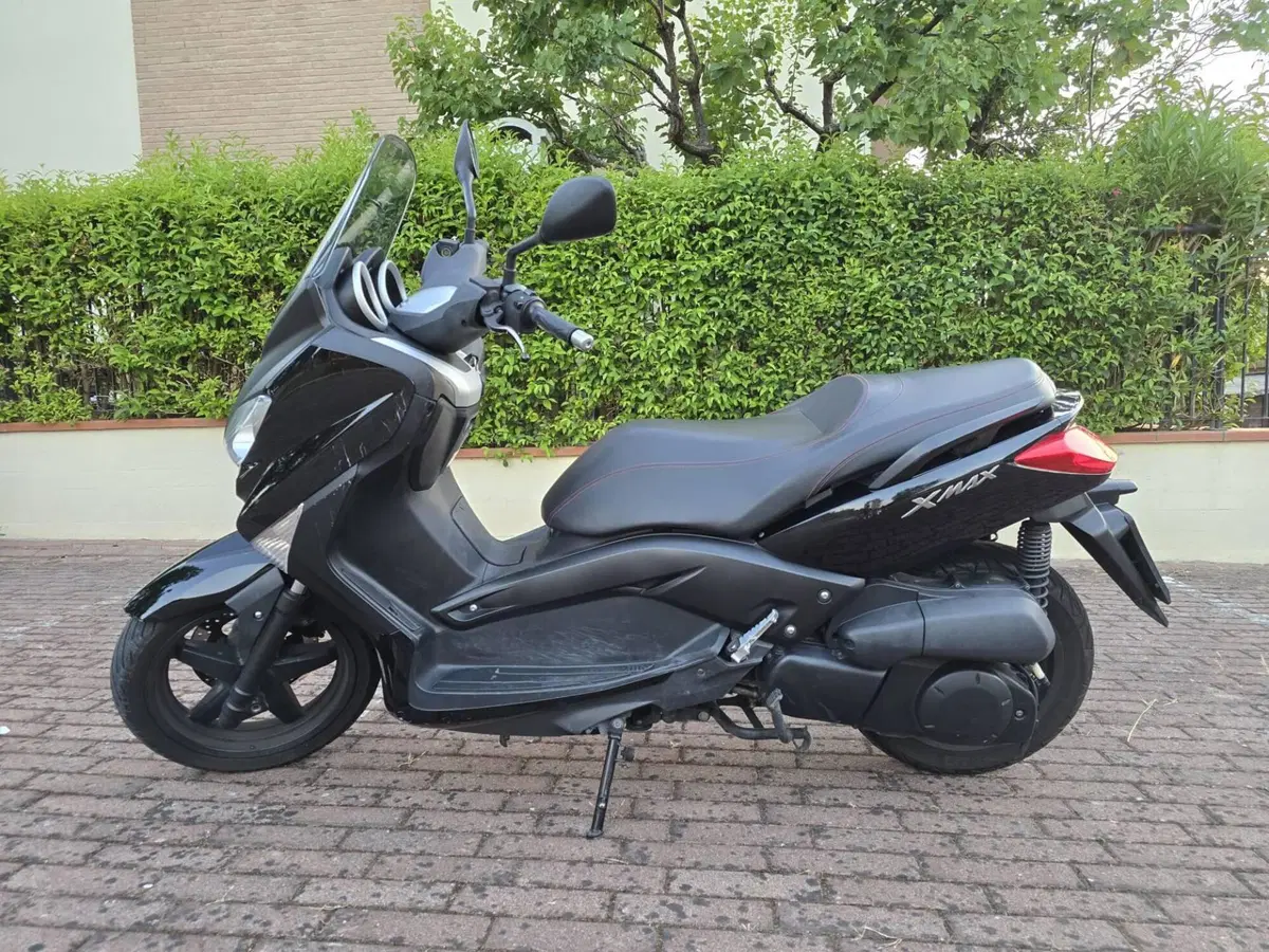 Yamaha X-Max 250 (2010 - 13) (9)