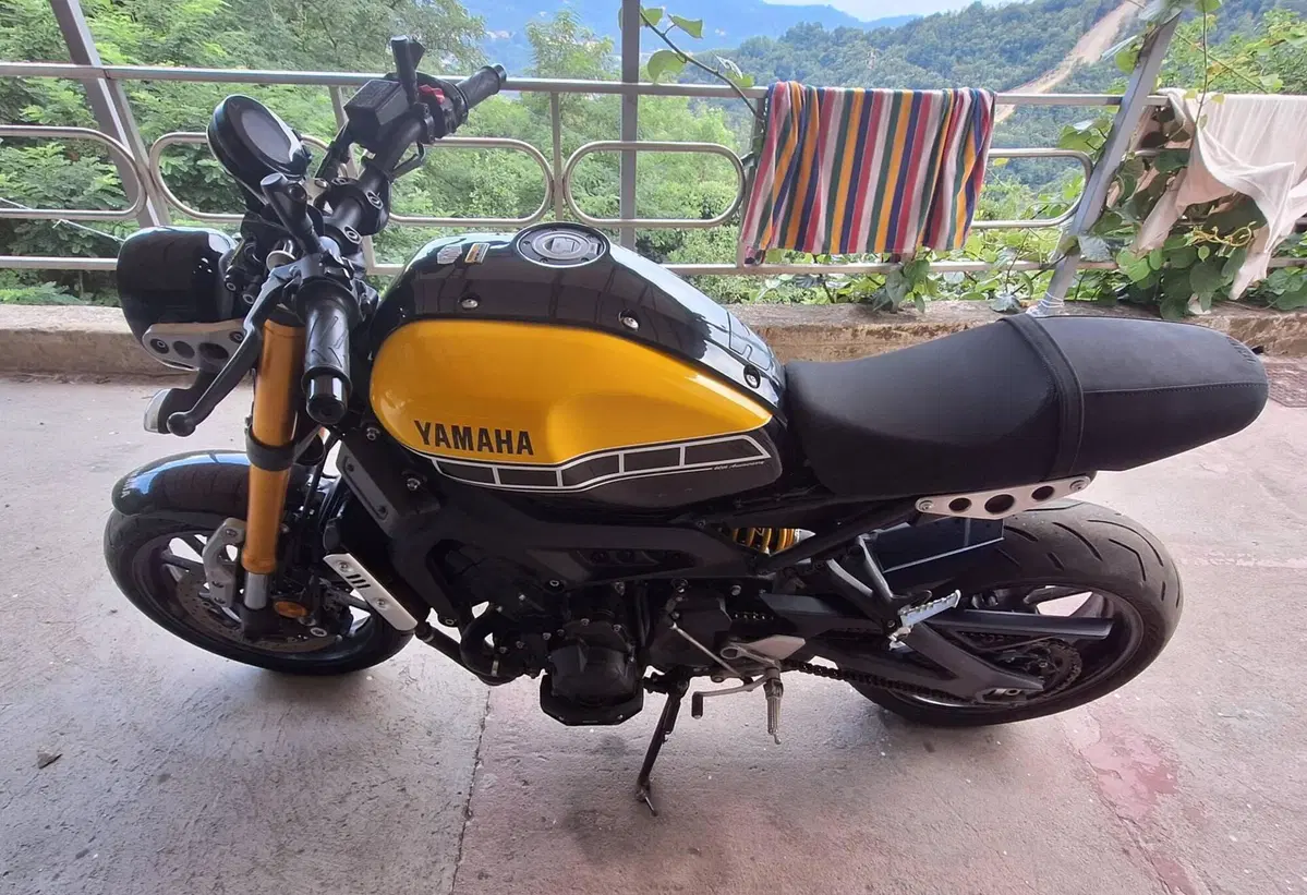 Yamaha XSR 900 ABS 60th Anniversary (2016 - 18) (4)