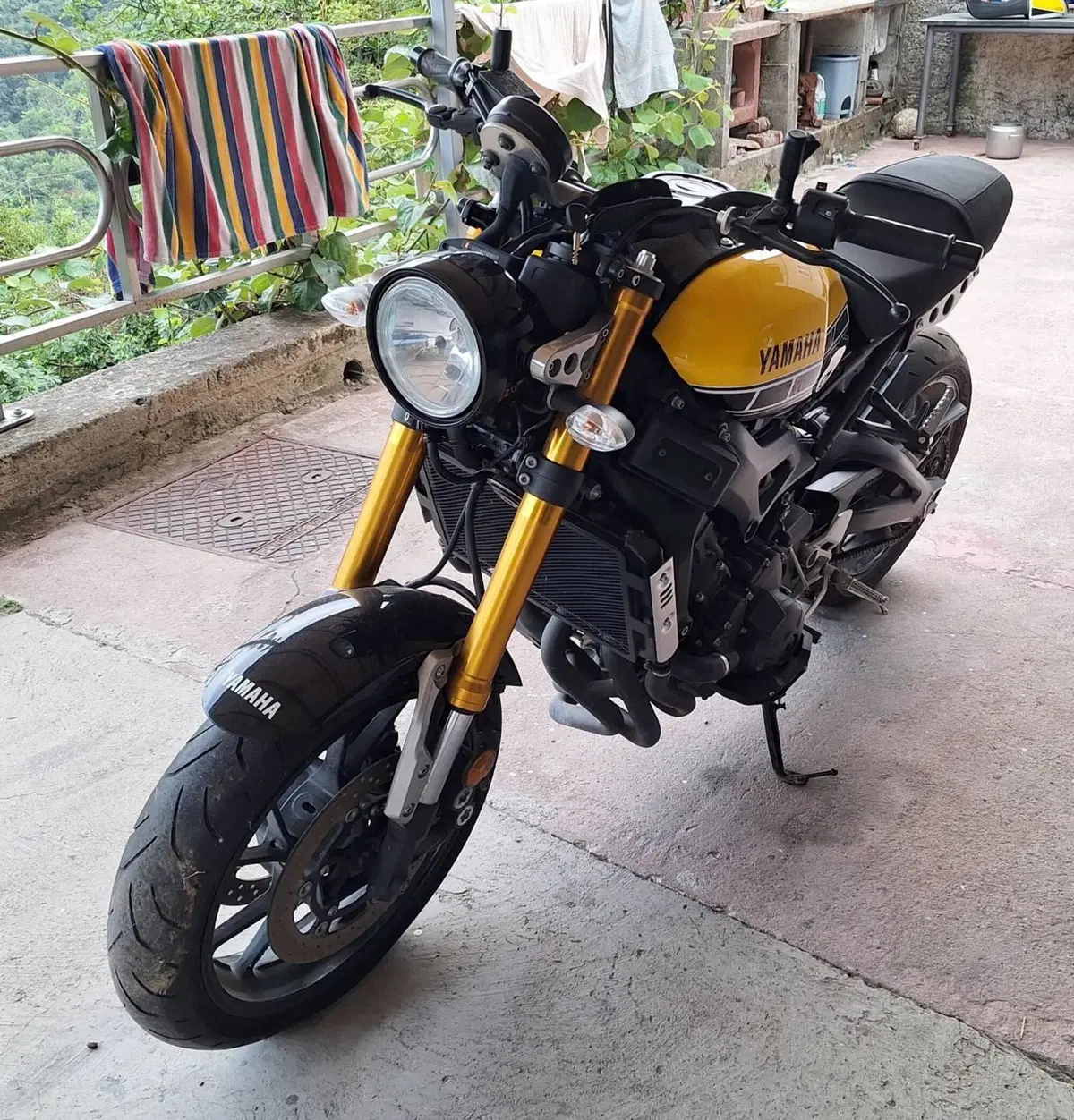 Yamaha XSR 900 ABS 60th Anniversary (2016 - 18) (8)