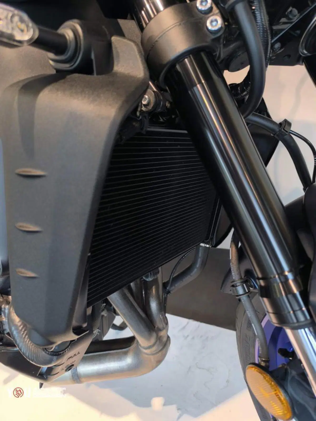 Yamaha MT-09 (2021 - 23) (5)