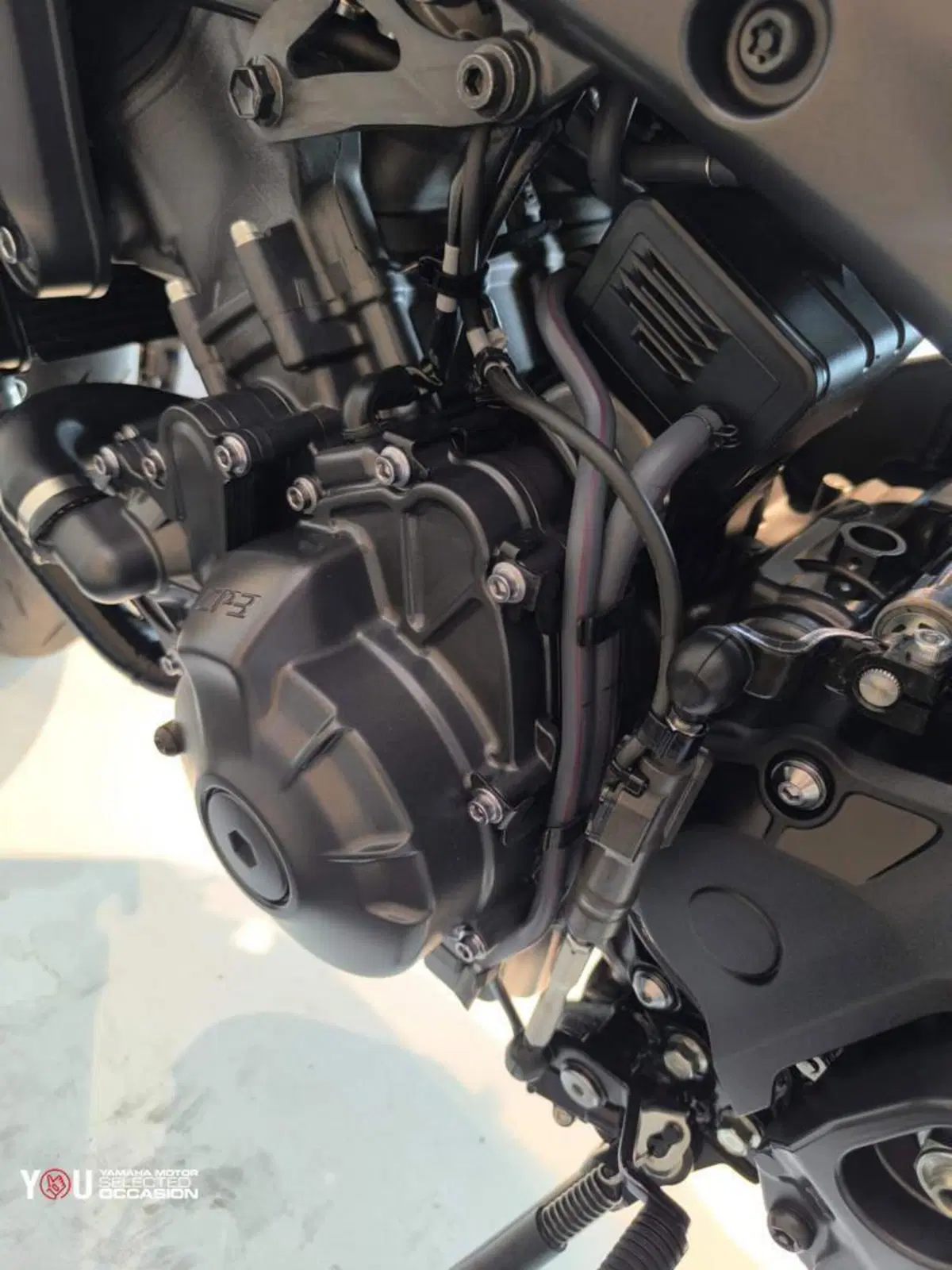 Yamaha MT-09 (2021 - 23) (6)