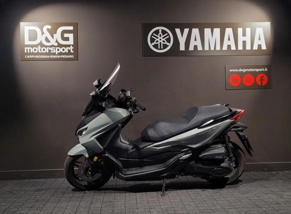 Honda Forza 350 (2022 - 24) (2)
