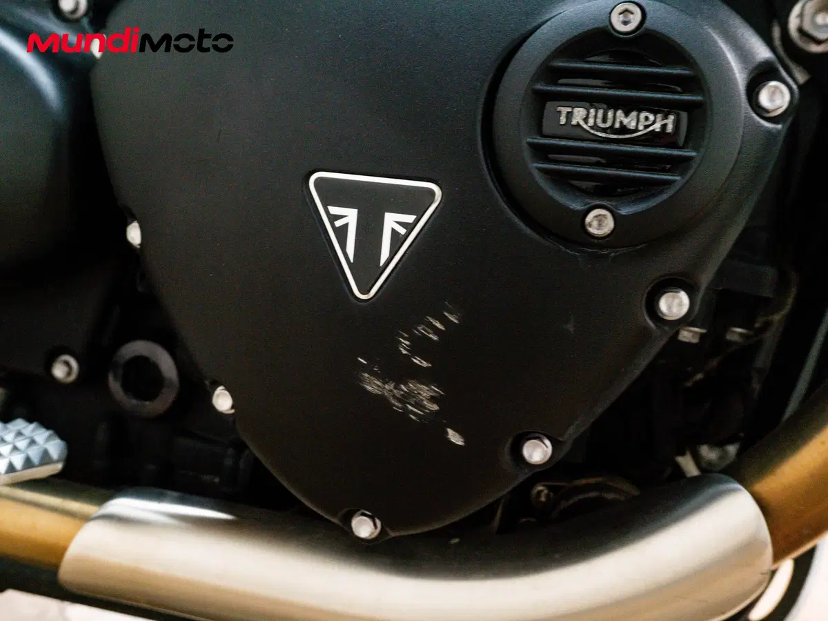 Triumph Street Scrambler 900 Gold Line Edition (2021 - 23) (15)