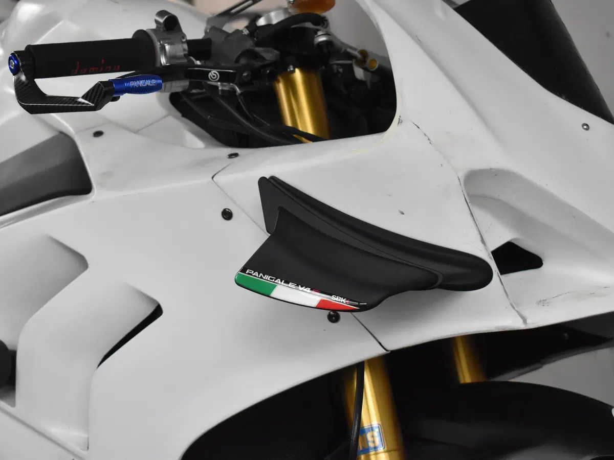 Ducati Panigale V4 S 1100 (2021) (11)