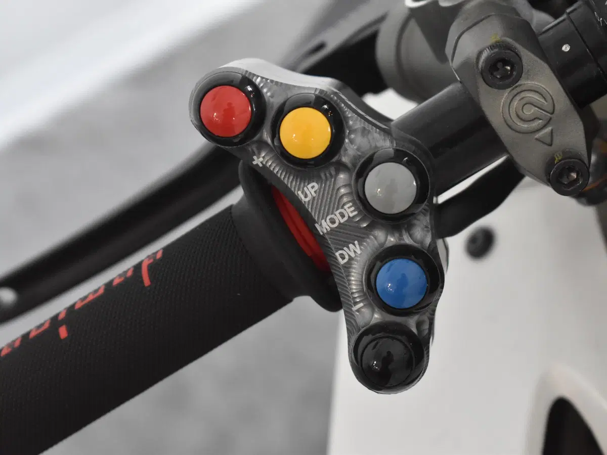 Ducati Panigale V4 S 1100 (2021) (14)