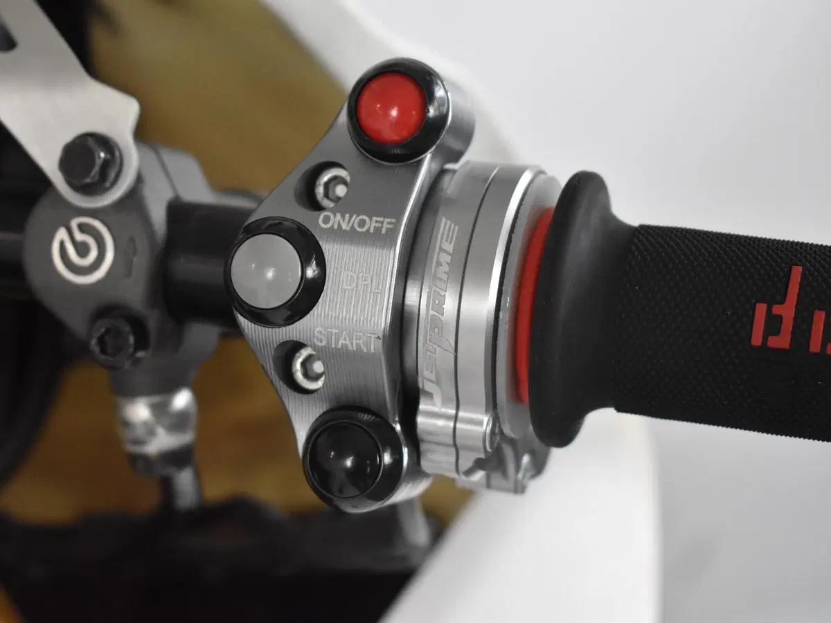 Ducati Panigale V4 S 1100 (2021) (15)